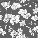 Fond sans couture floral pour votre conception illustration de vecteur Fond sans couture floral pour votre conception illustration de vecteur