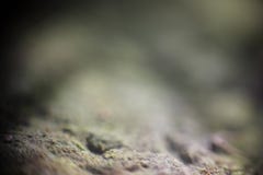 Fond trouble minimal naturel abstrait photographie stock libre de droits Fond trouble minimal naturel abstrait photographie stock libre de droits