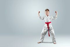 Fondo creativo un niño en un kimono blanco en una postura que lucha, en un fondo ligero el concepto de artes marciales imágenes de archivo libres de regalías Fondo creativo un niño en un kimono blanco en una postura que lucha, en un fondo ligero el concepto de artes marciales imágenes de archivo libres de regalías