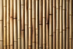Fondo de bambú de madera Fondo de bambú de madera