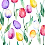 Fondo de la flor Tulipanes de la flor sobre blanco Modelo floral del vector de la primavera Modelo de los tulipanes libre illustration Fondo de la flor Tulipanes de la flor sobre blanco Modelo floral del vector de la primavera Modelo de los tulipanes libre illustration