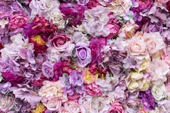 Fondo de la textura de la flor para casarse escena Rosas, peonías y hortensias, flores artificiales en la pared foto de archivo libre de regalías Fondo de la textura de la flor para casarse escena Rosas, peonías y hortensias, flores artificiales en la pared foto de archivo libre de regalías