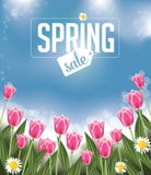 Fondo de la venta de la primavera con los tulipanes y las margaritas ilustración del vector Fondo de la venta de la primavera con los tulipanes y las margaritas ilustración del vector