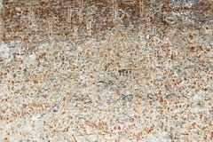 Fondo de madera de la textura del árbol del primer imágenes de archivo libres de regalías Fondo de madera de la textura del árbol del primer imágenes de archivo libres de regalías