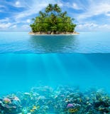 Fondo del mar y superficie subacuáticos del arrecife de coral con la isla tropical