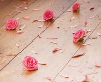 Immagine del primo piano delle rose e dei petali rosa sul pavimento fotografie stock libere da diritti Immagine del primo piano delle rose e dei petali rosa sul pavimento fotografie stock libere da diritti