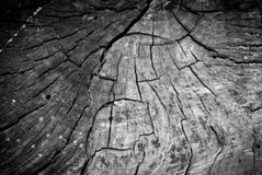 Fondo di legno fotografia stock Fondo di legno fotografia stock