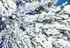 Fondo di Natale con il gemito bianco per i saluti fotografia stock Fondo di Natale con il gemito bianco per i saluti fotografia stock