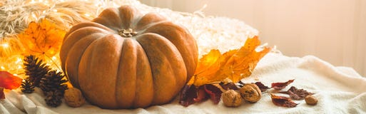 Fondo feliz del día de la acción de gracias, en la guirnalda adornada casera de la calabaza, de los conos, de las nueces y de las fotografía de archivo Fondo feliz del día de la acción de gracias, en la guirnalda adornada casera de la calabaza, de los conos, de las nueces y de las fotografía de archivo