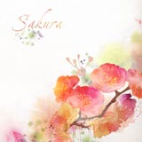 Fondo floreale con l'acquerello sakura royalty illustrazione gratis Fondo floreale con l'acquerello sakura royalty illustrazione gratis