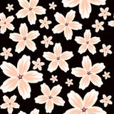 Fondo floreale senza cuciture di vettore con un modello di grandi e piccoli fiori nei colori pastelli su un fondo nero illustrazione vettoriale Fondo floreale senza cuciture di vettore con un modello di grandi e piccoli fiori nei colori pastelli su un fondo nero illustrazione vettoriale