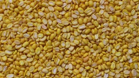 Fondo giallo dei fagioli verdi, rotazione stock footage Fondo giallo dei fagioli verdi, rotazione stock footage