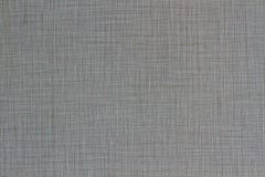 Fondo grigio luminoso di struttura della tela. fotografia stock libera da diritti Fondo grigio luminoso di struttura della tela. fotografia stock libera da diritti