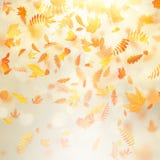 Fondo hermoso del otoño con las hojas de otoño del arce y el sol delicado EPS 10 libre illustration Fondo hermoso del otoño con las hojas de otoño del arce y el sol delicado EPS 10 libre illustration