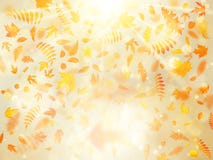 Fondo hermoso del otoño con las hojas de otoño del arce y el sol delicado EPS 10 stock de ilustración Fondo hermoso del otoño con las hojas de otoño del arce y el sol delicado EPS 10 stock de ilustración