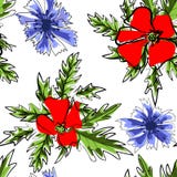Fondo incons?til del modelo del campo de flor de la primavera Flores rojas de la amapola salvaje floreciente con el tronco verde, ilustración del vector Fondo incons?til del modelo del campo de flor de la primavera Flores rojas de la amapola salvaje floreciente con el tronco verde, ilustración del vector