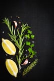 Fondo nero dell'alimento con le erbe e le spezie aromatiche fresche, copia immagini stock libere da diritti Fondo nero dell'alimento con le erbe e le spezie aromatiche fresche, copia immagini stock libere da diritti