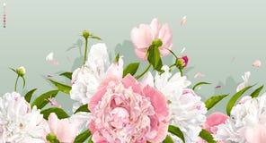 Fondo rosa e bianco della peonia illustrazione di stock Fondo rosa e bianco della peonia illustrazione di stock