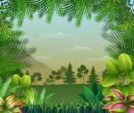 Fondo tropical de la selva con los árboles y las hojas ilustración del vector Fondo tropical de la selva con los árboles y las hojas ilustración del vector