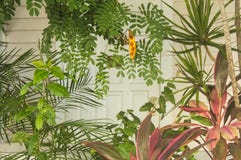 Fondo tropicale di Key West dell'isola con le piante variopinte ma smorzate davanti ad una sezione vaga di una casa e di una port fotografia stock Fondo tropicale di Key West dell'isola con le piante variopinte ma smorzate davanti ad una sezione vaga di una casa e di una port fotografia stock