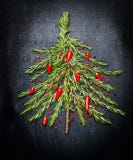 Food Christmas Tree Made Of Fresh Rosemary And Red Chili On Dark Background Royalty Free Stock Photos