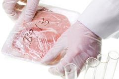 Food control specialist with meat specimen