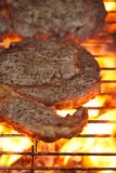Food meat - rib eye beef steak on party summer barbecue grill wi Royalty Free Stock Photos Food meat - rib eye beef steak on party summer barbecue grill wi Royalty Free Stock Photos
