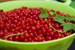 Redcurrants on black slate food photo Royalty Free Stock Image Redcurrants on black slate food photo Royalty Free Stock Image