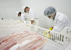 Food processing stock photography Food processing stock photography