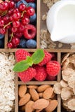 Foods For Breakfast - Oatmeal, Nuts, Berries And Milk Royalty Free Stock Images