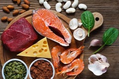 Foods High in Zinc royalty free stock photo Foods High in Zinc royalty free stock photo