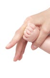 Foot Of The Child In A Hand Of Mum. It Is Isolated Royalty Free Stock Image Foot Of The Child In A Hand Of Mum. It Is Isolated Royalty Free Stock Image