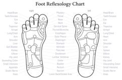 Blank Foot Charts For Reflexology