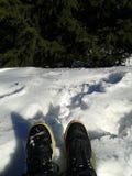 Foot royalty free stock photos Foot royalty free stock photos