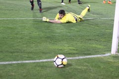 Footbal-Verein Anhänger Belgrad lizenzfreie stockfotos Footbal-Verein Anhänger Belgrad lizenzfreie stockfotos