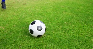 Football player kicking a ball in the field stock footage Football player kicking a ball in the field stock footage