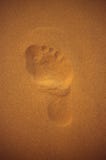 Footprint. In the desert sand stock photos Footprint. In the desert sand stock photos