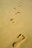 Footprint in sand on beach