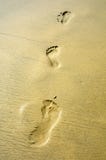 Footprints Royalty Free Stock Photo