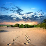 Footprints In The Sand Stock Image