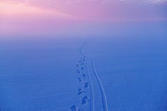 Footprints In The Snow Leaving In The Dawn Distance Stock Photography