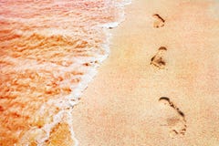 Footprints of the people on a golden pink sand on the sea coast. Soft waves of pink color. Marine creative background close up Royalty Free Stock Photography Footprints of the people on a golden pink sand on the sea coast. Soft waves of pink color. Marine creative background close up Royalty Free Stock Photography