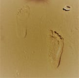 Footprints in the sand. Foot marks on the sand beach with the seashell. royalty free stock photos Footprints in the sand. Foot marks on the sand beach with the seashell. royalty free stock photos
