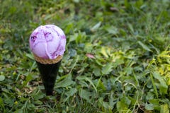 A forest berries ice cream is place in grass