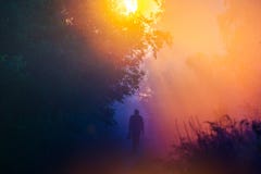sunrise morning man silhouette in a misty forest