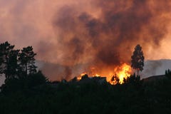 Forest Fire Stock Photography Forest Fire Stock Photography