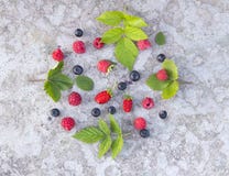 Forest Fruits In The Concrete Background Stock Image