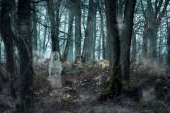 Forest with the ghosts