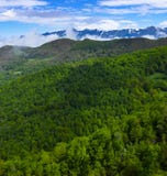 Forest and mountains from Viewpoint of Piedrasluengas in the Natural Park of Fuentes Carrionas Royalty Free Stock Photography Forest and mountains from Viewpoint of Piedrasluengas in the Natural Park of Fuentes Carrionas Royalty Free Stock Photography