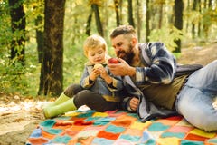 Forest picnic hiking. Healthy lifestyle. Nature picnic. Healthy snack. Vitamin charge. Family picnic. Hipster bearded stock photography Forest picnic hiking. Healthy lifestyle. Nature picnic. Healthy snack. Vitamin charge. Family picnic. Hipster bearded stock photography